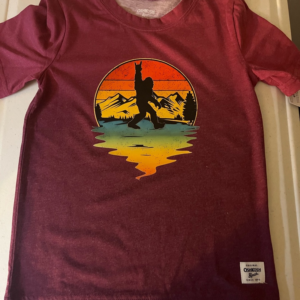 OshKosh B'gosh Kids Maroon Graphic T-Shirt